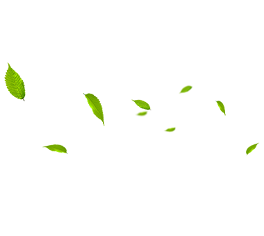 MHL Power Dong Phường Công ty TNHH SOILER (MHDB)