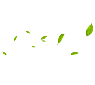 MHL Power Dong Phường Công ty TNHH SOILER (MHDB)